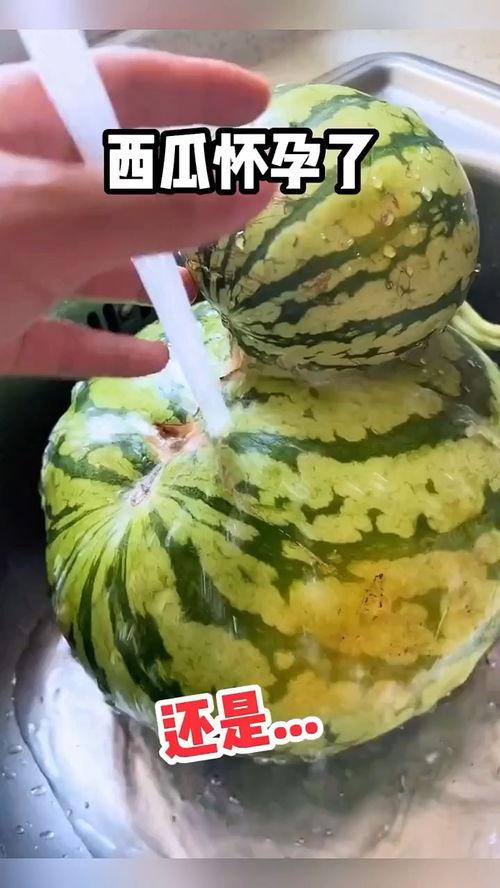 宿舍搞笑吃瓜视频,笑料横飞，欢乐无限