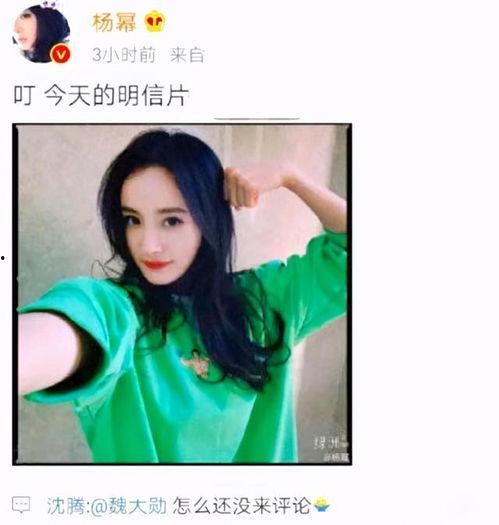 吃瓜杨幂视频在线观看,揭秘娱乐圈幕后故事