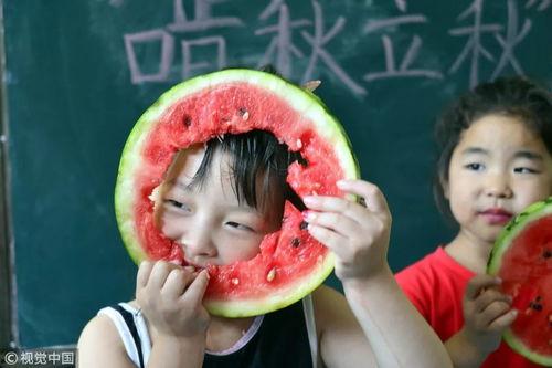 吃瓜咬脸的视频大全下载,笑料百出，快来一睹为快！