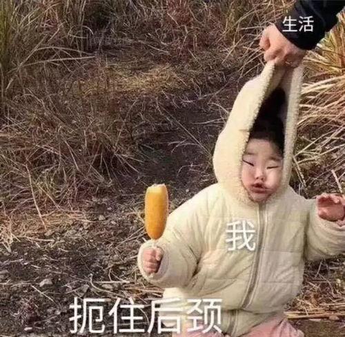 带你吃瓜沙雕拍照视频,带你吃瓜沙雕拍照视频大揭秘