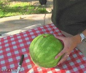 常德吃瓜视频大全,趣味横生的本土生活剪影
