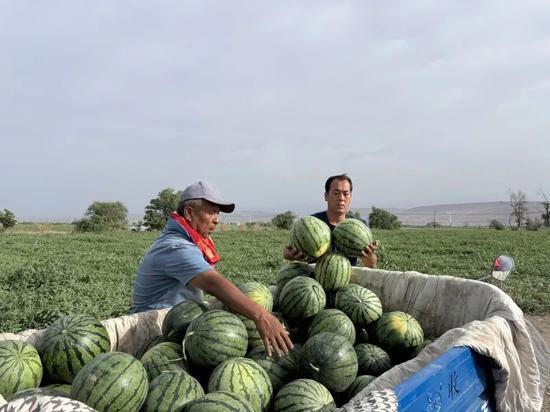 缅甸吃瓜视频是骗局吗,骗局真相大起底