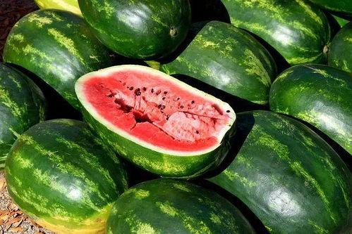 延津吃瓜视频大全,揭秘当地特色美食与风土人情