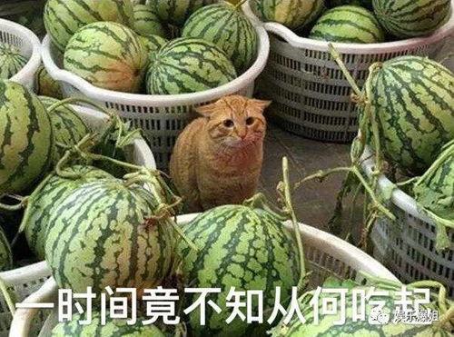 最新吃瓜视频爆料,娱乐圈惊天大事件幕后真相曝光！