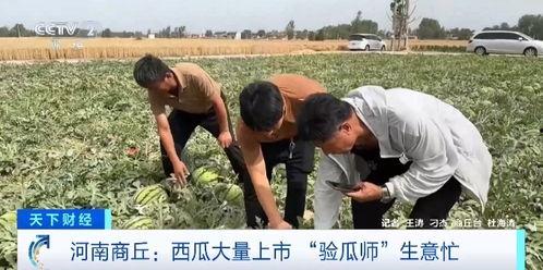 南京热点吃瓜事件视频,揭秘背后真相与争议