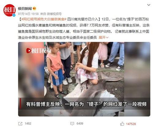 吃瓜视频大码在线观看,大码在线观看的火爆现象