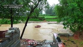 河南农村吃瓜视频,瓜田飘香，欢乐满溢