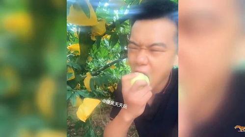 代货吃瓜搞笑视频大全集,欢乐无限