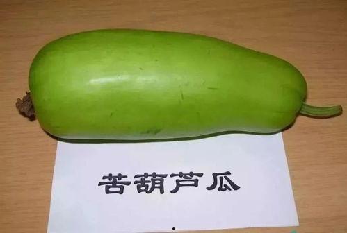 小孩子吃葫芦瓜好吗视频,儿童健康饮食新选择