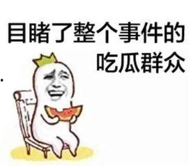吃瓜群众找乐趣视频在线观看,在线观看趣味视频，轻松一笑解忧愁