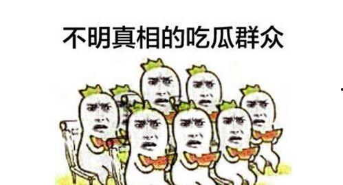 吃瓜群众找乐趣视频在线观看,在线观看趣味视频，轻松一笑解忧愁