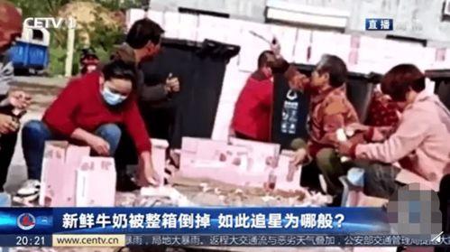 孝武吃瓜现场视频播放下载,视频播放下载瞬间回顾