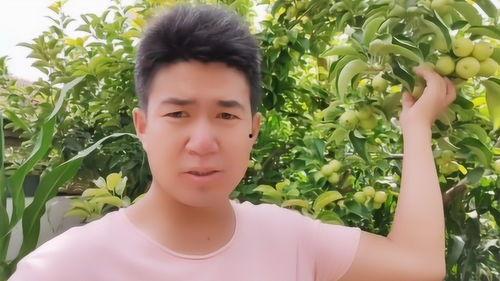 花小磊在线吃瓜视频,揭秘娱乐圈幕后故事