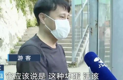 吃瓜网友团队介绍视频,揭秘网络舆论背后的神秘力量