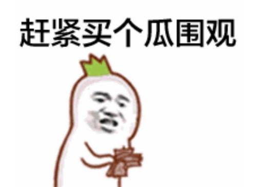 吃瓜表情秒懂视频教程