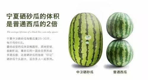 吃硒砂瓜可以减脂吗视频,揭秘神奇瓜果的瘦身奥秘