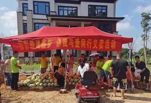 河北定州凤翔园吃瓜视频,夏日消暑新风尚