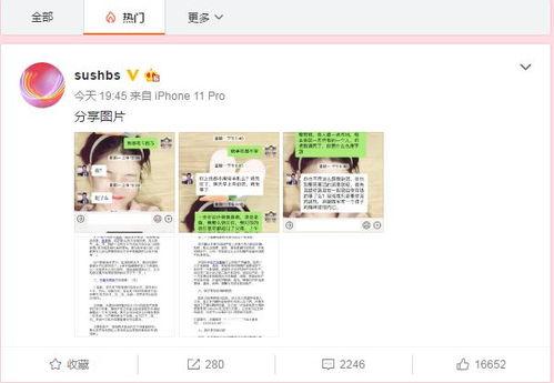 吃瓜新闻媒体报道视频下载,视频下载背后的秘密与技巧