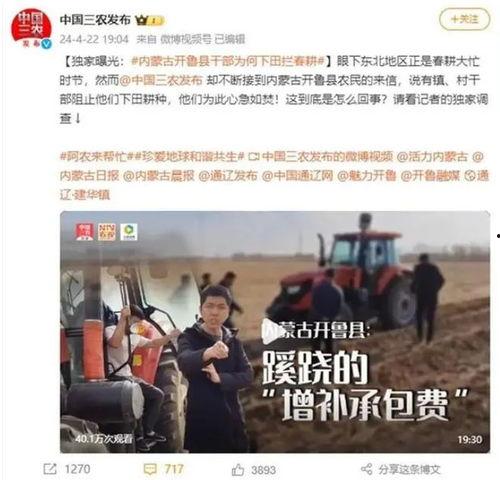 吃瓜新闻媒体报道视频下载,视频下载背后的秘密与技巧