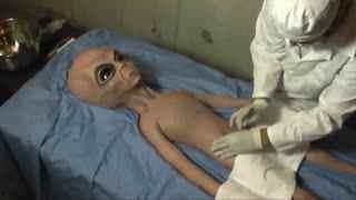 外星人吃瓜切菜视频,揭秘外星人如何吃瓜切菜