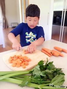 外星人吃瓜切菜视频,揭秘外星人如何吃瓜切菜