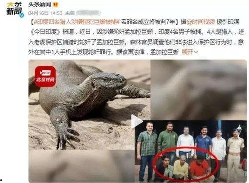 吃瓜网印度蜥蜴视频在线观看,吃瓜网独家在线观看
