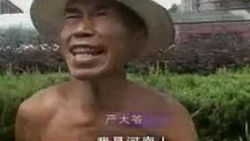 武义吃瓜事件视频播放全集,视频全记录，揭秘背后真相