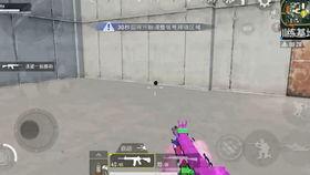 吃鸡吃瓜看视频,尽享休闲时光