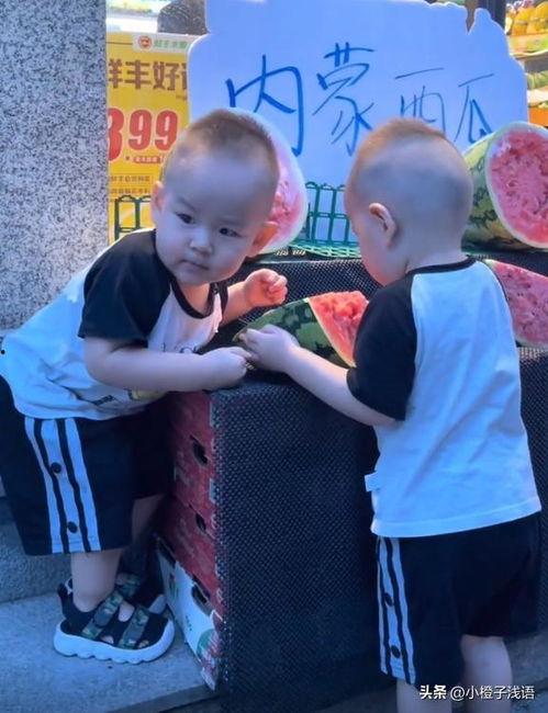 双胞胎吃瓜视频,萌态百出笑翻网友