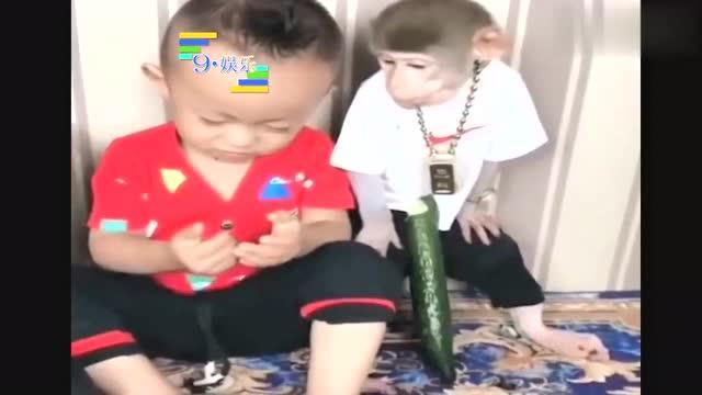 路人吃瓜搞笑合集视频,路人吃瓜搞笑合集，笑出腹肌的瞬间