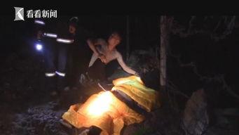 车祸狗狗吃瓜视频,萌态十足引网友热议