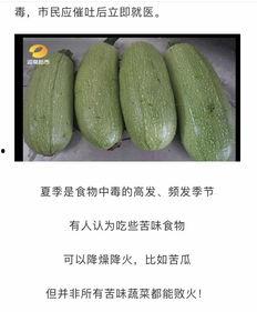 吃瓜中毒最新视频大全集,揭秘网络热点背后的真相与笑料