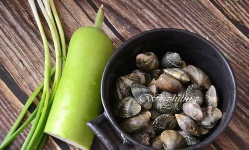 蒲瓜可以喂鸡吃吗视频讲解,营养丰富的天然饲料探索