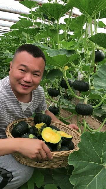 田园瓜怎么吃最好吃呢视频,解锁最佳食用秘诀
