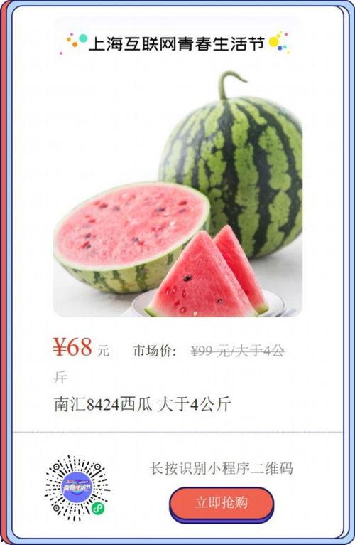 上海吃瓜在线视频,揭秘沪上美食圈的热辣瞬间