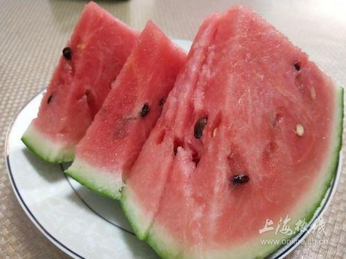 上海吃瓜在线视频,揭秘沪上美食圈的热辣瞬间