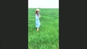 男子为钱吃瓜视频下载,揭秘网络黑产背后的利益链