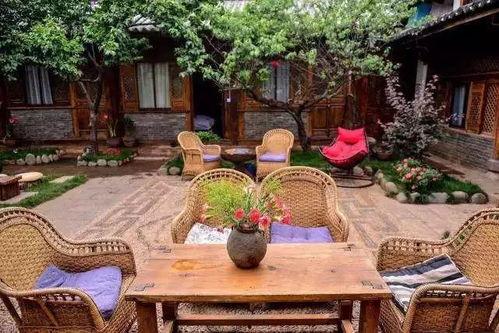 农村院子喝茶吃瓜视频,农村院子里的喝茶吃瓜时光