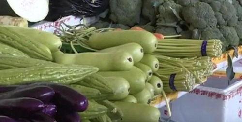 老鼠会吃葫芦瓜吗视频,一场生存挑战的实况记录