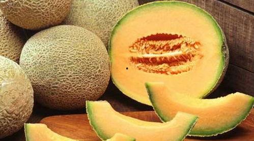 阿豪吃哈密瓜视频大全免费观看,免费观看视频大全，尽享甜蜜时光