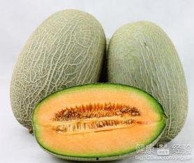 阿豪吃哈密瓜视频大全免费观看,免费观看视频大全，尽享甜蜜时光