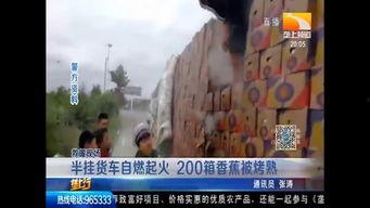 大邑吃瓜事件真相视频完整版,揭秘真相背后的惊人内幕