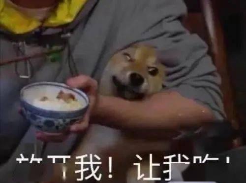 带你吃瓜的奇葩筷子视频,带你吃瓜探秘筷子界的奇葩现象