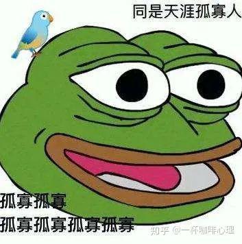 带你吃瓜的七夕青蛙视频,带你领略浪漫瓜田里的甜蜜瞬间