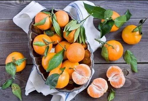 小瓜吃橘子的视频,一场味蕾的视觉盛宴