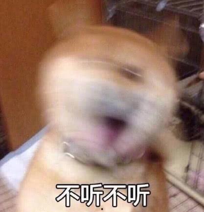 秃崽吃瓜视频链接大全