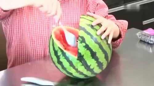 秃崽吃瓜视频链接大全