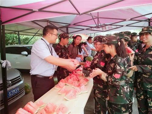 吃瓜福利视频群,带你领略网络娱乐新风尚