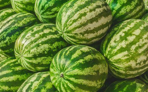 一般吃瓜的视频都在哪儿找的,热门吃瓜视频的聚集地